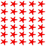 VWAQ Sea Star Wall Art Beach Decor - Starfish Nautical Wall Decal - Seastar - 30 Pack - VWAQ Vinyl Wall Art Quotes and Prints