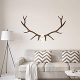 Elk Skull Removable Wall Decal  VWAQ - PT2