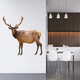 Deer Wall Decal Animal Wildlife Wall Art VWAQ - PAS35