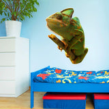 VWAQ Chameleon Wall Decal - PAS37