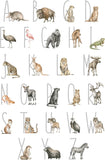 VWAQ Alphabet Nursery with Animals Vinyl Wall Sticker Kids Room Decor Decal Removable - HOL76