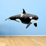 VWAQ Giant Orca Whale Wall Decal Peel and Stick Killer Whale Ocean Wall Art - OCW1 - VWAQ Vinyl Wall Art Quotes and Prints