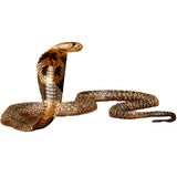 VWAQ Cobra Snake Peel and Stick Wall Decal - COB555 - VWAQ Vinyl Wall Art Quotes and Prints