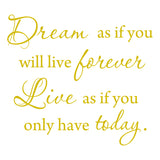Dream as if You'll Live Forever Live as if You'll Only Have Today Wall Decal VWAQ