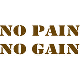 No Pain No Gain Vinyl Wall Decal VWAQ