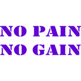 No Pain No Gain Vinyl Wall Decal VWAQ