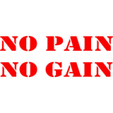No Pain No Gain Vinyl Wall Decal VWAQ