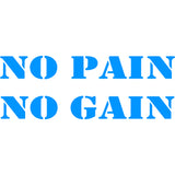 No Pain No Gain Vinyl Wall Decal VWAQ