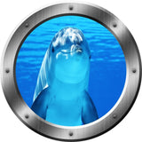 VWAQ Underwater Dolphin Peel and Stick Vinyl Wall Decal no background