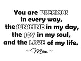 VWAQ You Are Precious In Every Way Vinyl Wall art Decal no background