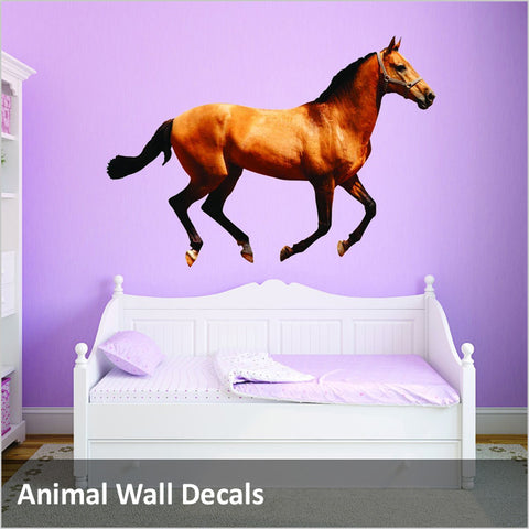 Animal Wall Decals