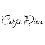 VWAQ Carpe Diem Wall Quotes Decal Seize the Day Quotes - VWAQ Vinyl Wall Art Quotes and Prints