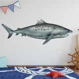 VWAQ Tiger Shark Vinyl Decal 