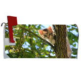 VWAQ Kitten Mailbox Covers Magnetic Cat Decorations for Outside - MBM14 - VWAQ Vinyl Wall Art Quotes and Prints