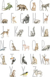 VWAQ Alphabet with Animals Nursery Vinyl Wall Sticker Kids Room Decor Decal Removable - HOL75