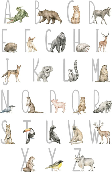 VWAQ Alphabet with Animals Nursery Vinyl Wall Sticker Kids Room Decor