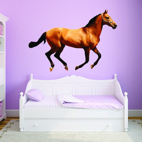 VWAQ Peel and Stick Horse Vinyl Wall Decals - Pony Wall Sticker, Stallion Wall Art - PAS22 - VWAQ Vinyl Wall Art Quotes and Prints