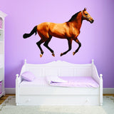 VWAQ Peel and Stick Horse Vinyl Wall Decals - Pony Wall Sticker, Stallion Wall Art