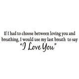 VWAQ If I Had To Choose Between Loving You And Breathing Wall Decal - VWAQ Vinyl Wall Art Quotes and Prints
