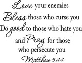 VWAQ Love Your Enemies Matthew 5:44 Vinyl Wall Decal no background