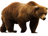 VWAQ Grizzly Bear Vinyl Wall Decal Brown Bear Sticker Wall Art Decor Mural - PAS11 - VWAQ Vinyl Wall Art Quotes and Prints