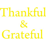 Thankful and Grateful Inspirational Vinyl Wall Decal VWAQ - Version 2