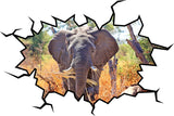 VWAQ African Elephant Safari Wall Crack Vinyl Wall Decal - WC13 - VWAQ Vinyl Wall Art Quotes and Prints