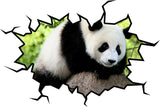 VWAQ Panda Bear Wall Decal Hole in the Wall Crack Removable Wall Decal - WC26 no background