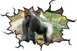 VWAQ Gorilla Wall Crack Decal Peel & Stick Silverback Gorilla Wall Art Decor - WC29 - VWAQ Vinyl Wall Art Quotes and Prints