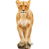 VWAQ Lioness on Perch Peel and Stick Vinyl Wall Decal - G502 no background