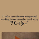 VWAQ If I Had To Choose Between Loving You And Breathing Wall Decal - VWAQ Vinyl Wall Art Quotes and Prints