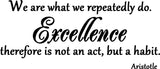 VWAQ We are what we repeatedly do Wall Decal - VWAQ Vinyl Wall Art Quotes and Prints